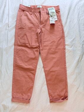 Smart Pants Coral Pink Chino Pants- Size 2